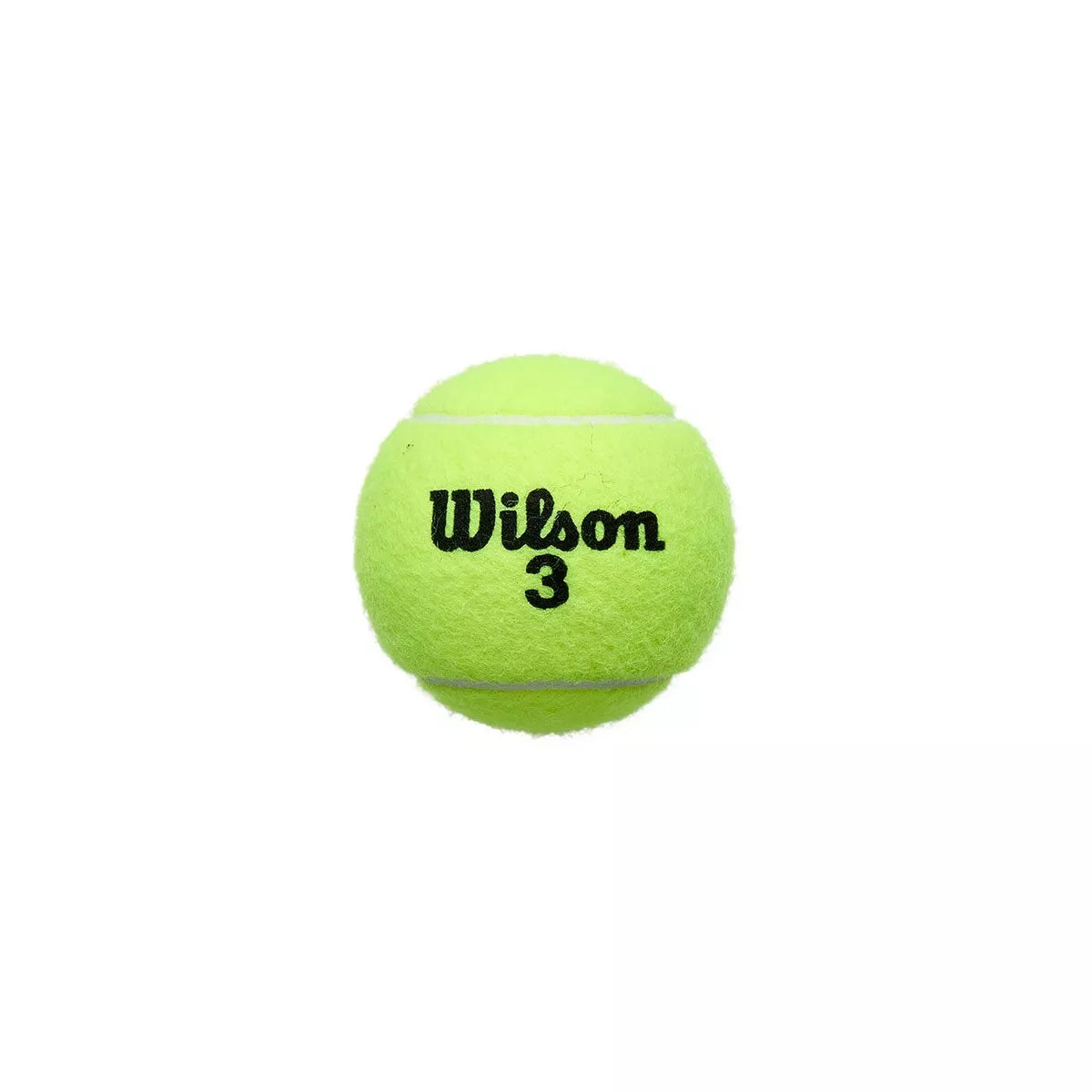 Wilson Roland Garros All Court 4 Balls Can – 3